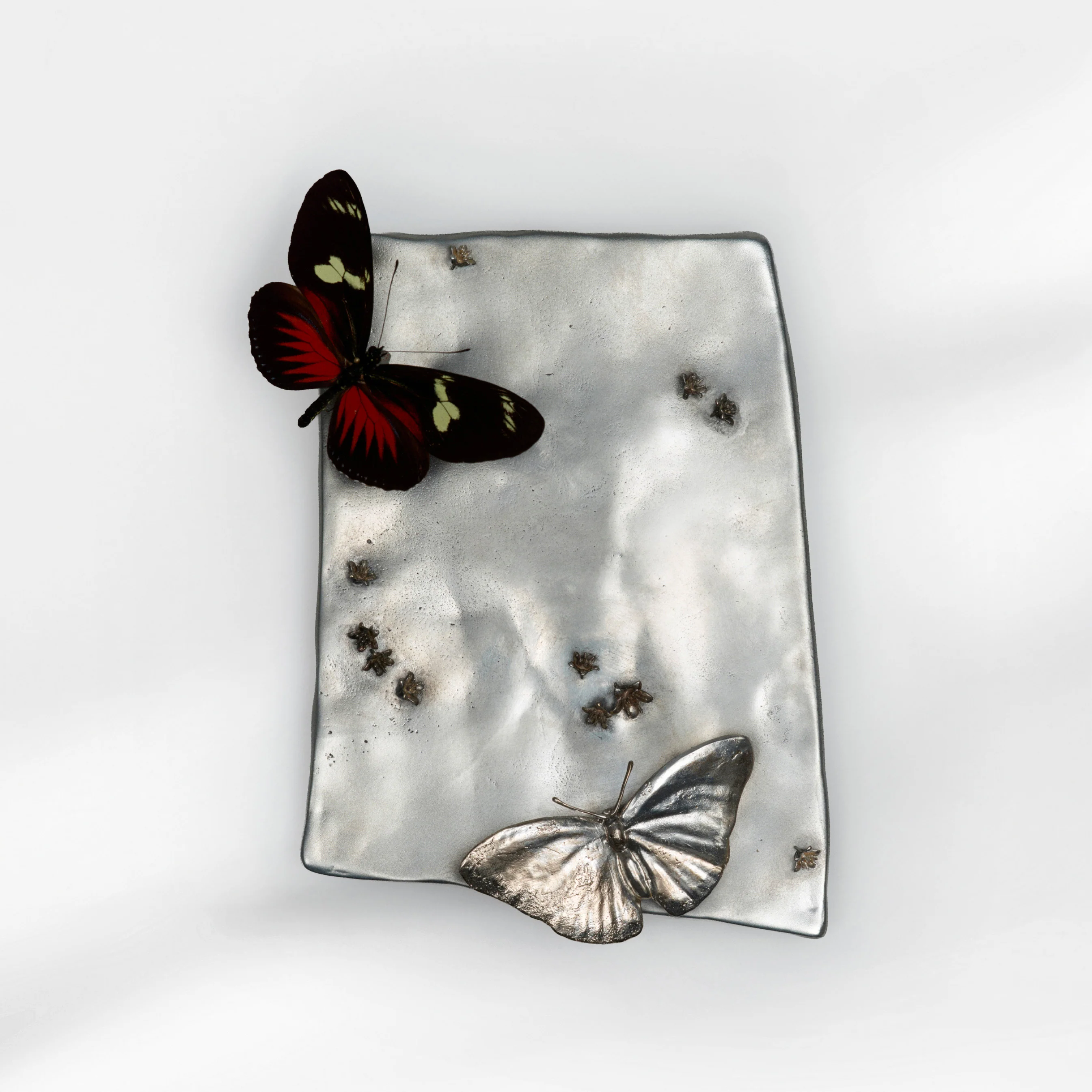 Miniature 1